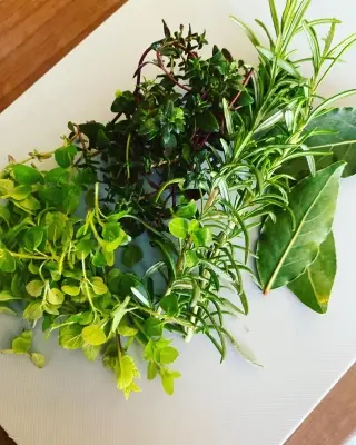 Natures green palette. How pretty. 

I just love mother natures colours. How perfect they are. These greens are so vibrant and love the way you can throw them on a plate and they just look beautiful. 

#growyourownpallette
#greens
#naturescolours 

I apologise for the lack of design posts but I am enjoying taking my creativity away from the screen sometimes. I think I may share more of that on here.  I feel it keeps my design mind inspired. 

#so many things I want to try
#so many things I want to learn
#i would love 48hr days to fit it all in!