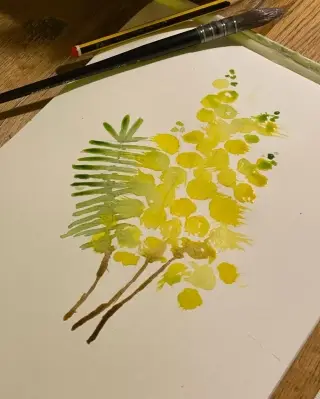 Acacia Dealbata - Mimosa Watercolour

Requested by my auntie Sheila. 🙏🏼🤍 

You strong 💪🏼 lovely human xxx