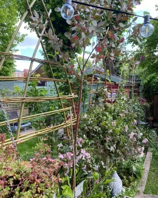 So I needed to escape the computer this weekend. 🤪

Got creative in the garden with gothic arch willow trellis and getting my boy to paint signs for our honesty tomato plant table. Blissful weekend. 

@blithfieldwillowcrafts 
You inspire me so much. Sunny said to say hi. Thank you for sharing your amazing crafts with so many. The biggest gift is sharing craft skills. 🥰🤍