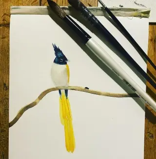 The Asian Paradise Flycatcher
Watercolour

#watercolour 
#watercolourbird 
#nature 
#painting 
#watercolour 
#watercolourpainting 
#watercolorforbeginners 
#watercolourbeginner 
#2022
#commisionedwork 
#rhwatercolour